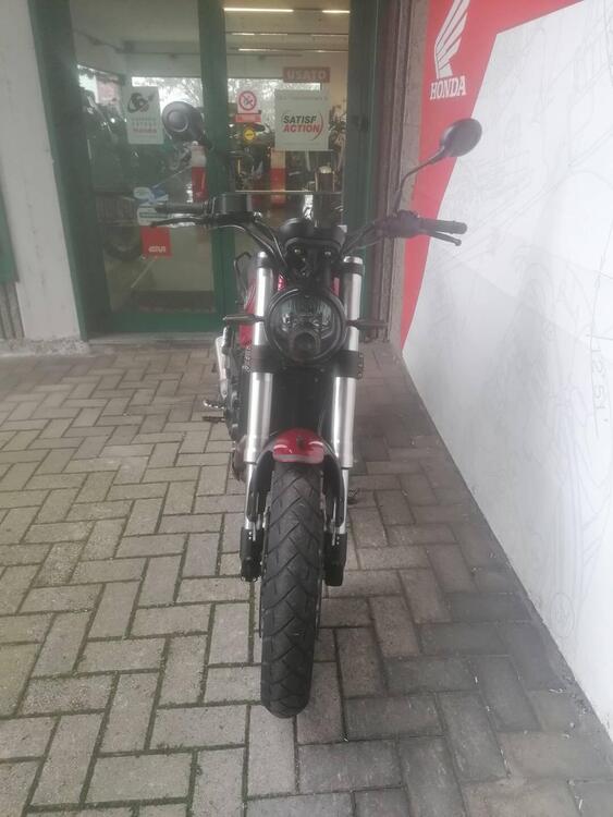 Benelli Leoncino 500 Trail (2021 - 24) (4)