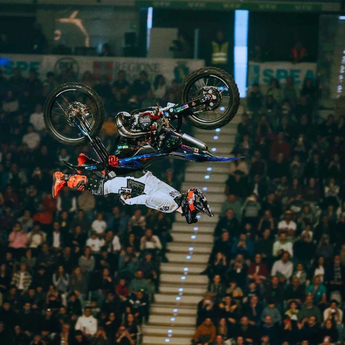 Masters of Dirt torna in Italia nel 2025! 