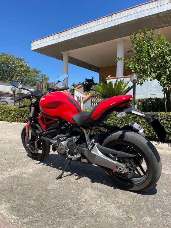 Ducati Monster 821 (2018 - 20) (3)