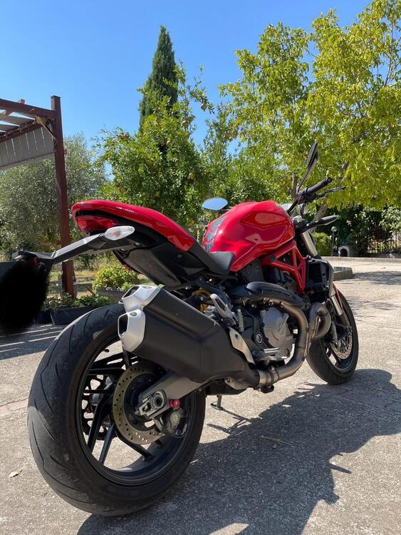 Ducati Monster 821 (2018 - 20) (4)