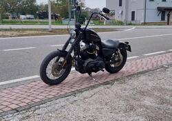 Harley-Davidson 883 Standard (2001 - 05) - XL 883 usata