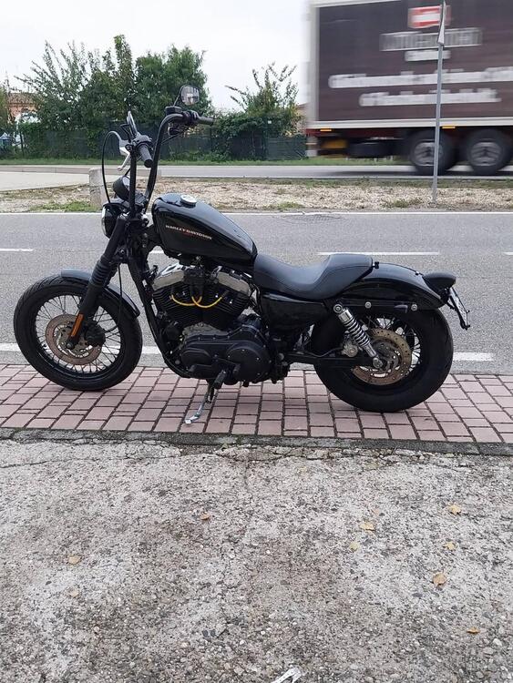 Harley-Davidson 883 Standard (2001 - 05) - XL 883 (3)