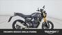 Triumph Speed 400 (2024 - 25) (16)