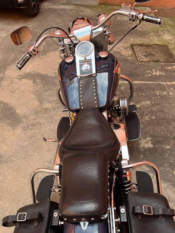 Harley-Davidson FLH SHOVELHEAD (5)