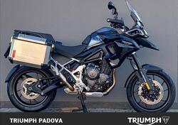 Triumph Tiger 1200 GT Pro (2022 - 23) usata