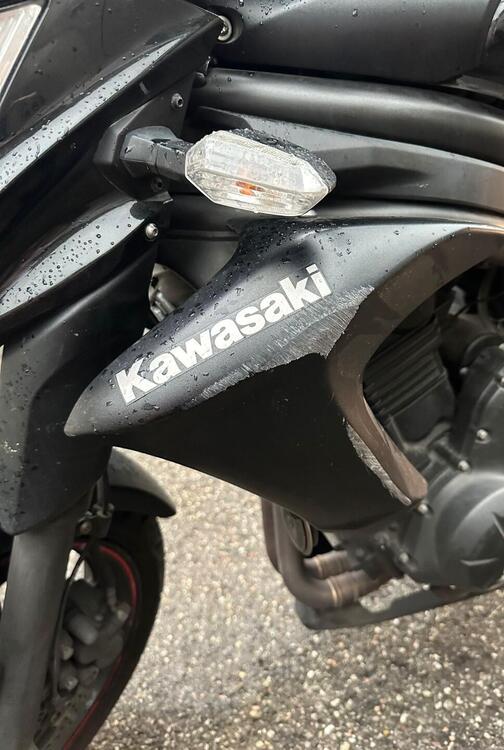 Kawasaki ER-6N ABS (2012 - 16) (4)