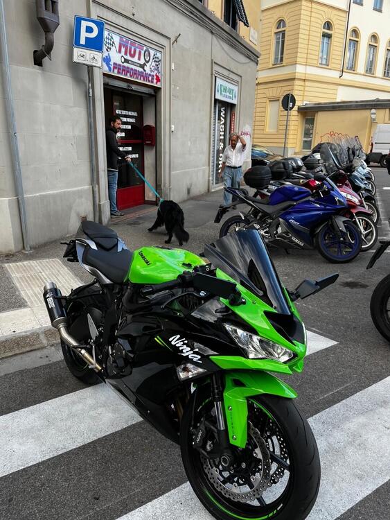 Kawasaki Ninja 636 ZX-6R (2019 - 20)