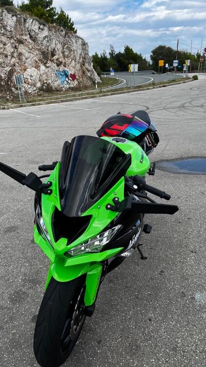 Kawasaki Ninja 636 ZX-6R (2019 - 20) (4)