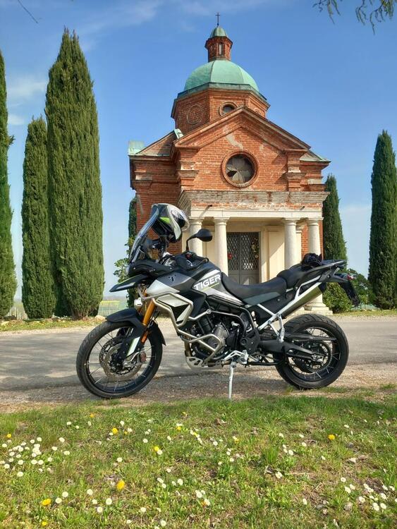 Triumph Tiger 900 Rally Aragón Edition (2023 - 24)