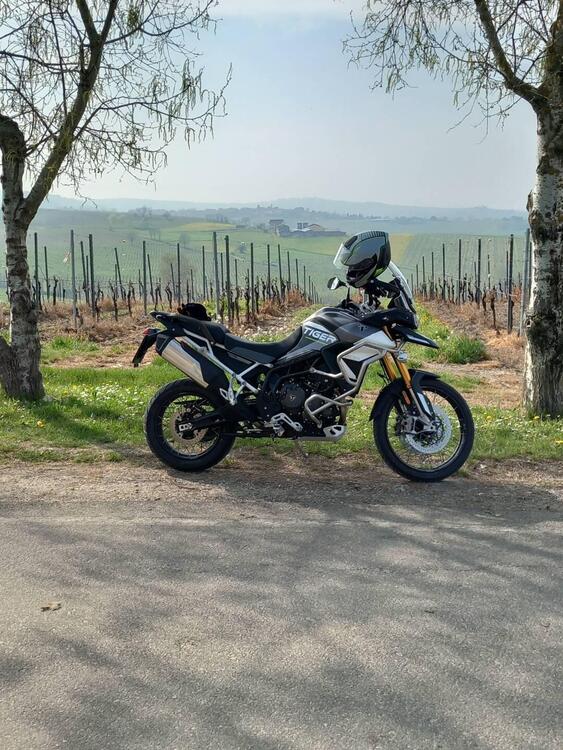 Triumph Tiger 900 Rally Aragón Edition (2023 - 24) (2)