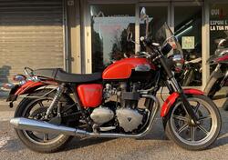 Triumph Bonneville (2007 - 16) usata