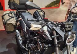 Betamotor Alp X (2024 - 25) nuova