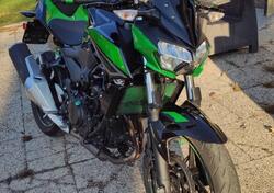 Kawasaki Z 400 (2023) usata