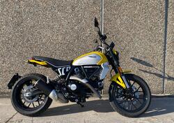 Ducati Scrambler 800 Icon (2023 - 24) usata