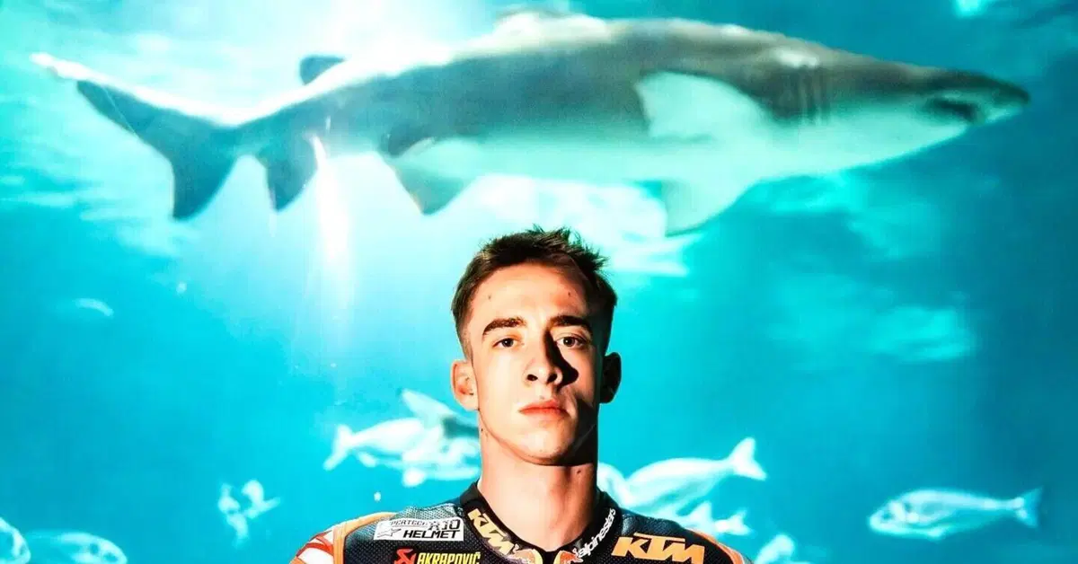 MotoGP 2024. Il manager di Pedro Acosta contro KTM: "Ci hanno detto che erano un colosso, non &egrave; cos&igrave;"