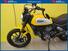 Ducati Scrambler 800 Icon (2017 - 20) (6)