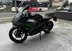 Kawasaki Ninja 500 (2024 - 25) usata