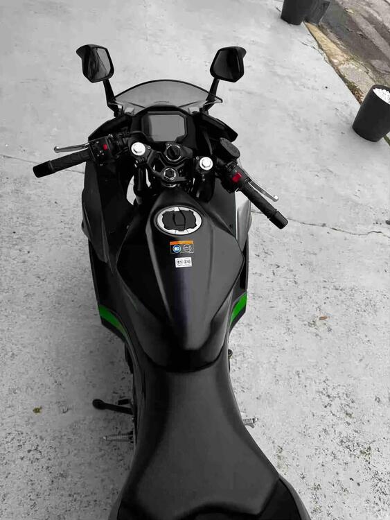 Kawasaki Ninja 500 (2024 - 25) (3)