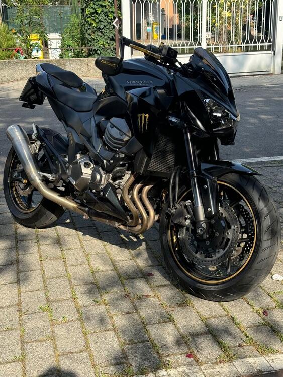 Kawasaki Z 800 Performance ABS (2013)