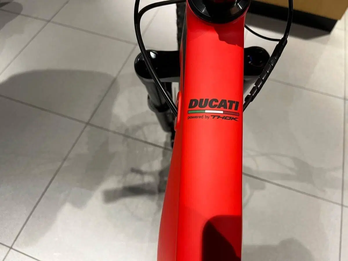 Ducati MIG-S (2022 - 26) (8)