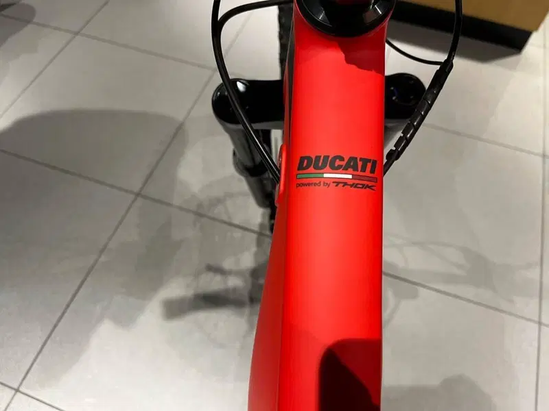 Ducati MIG-S (2022 - 26) (8)