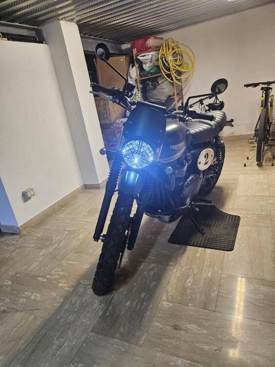 Triumph Scrambler 900 (2023 - 24) (5)