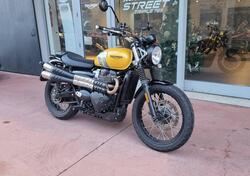 Triumph Scrambler 900 (2023 - 24) usata