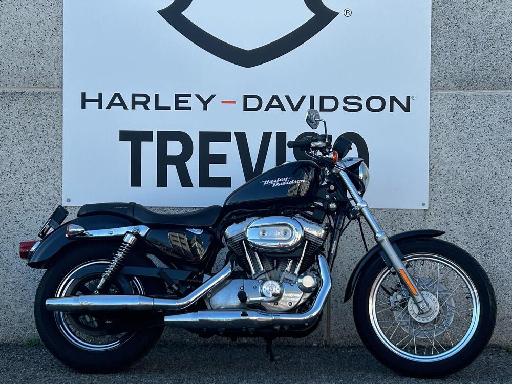 Harley-Davidson 883 (2006 - 07) - XL (5)