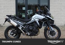 Triumph Tiger 900 GT (2024) usata