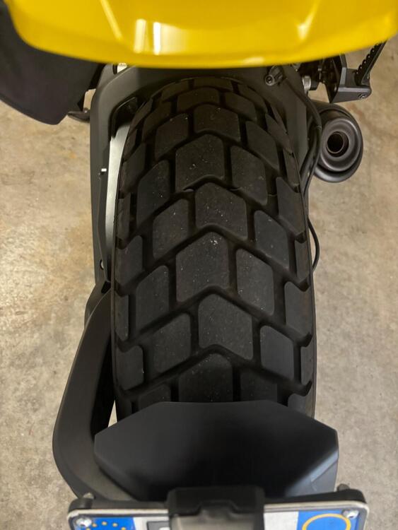 Ducati Scrambler 800 Icon (2015 - 16) (3)