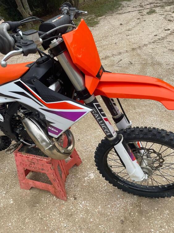 KTM 125 SX (2024) (3)