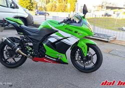 Kawasaki Ninja 250 R (2007 - 13) usata