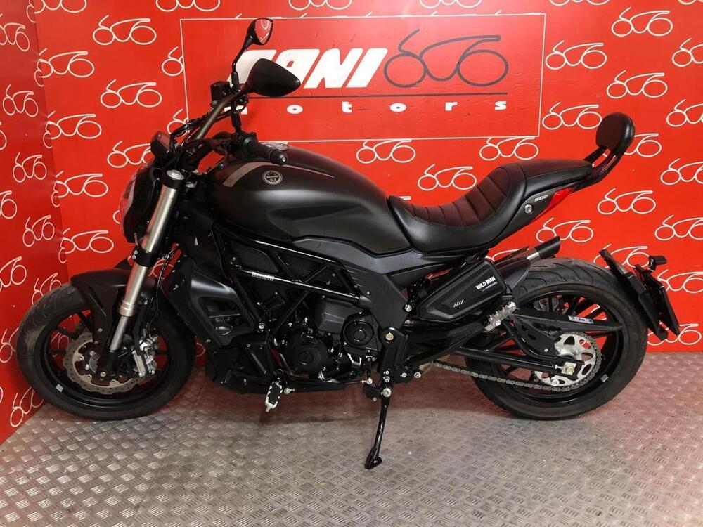 Benelli 502 C (2019 - 20) (3)