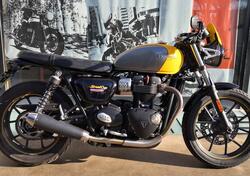 Triumph Street Cup 900 (2017 - 19) usata