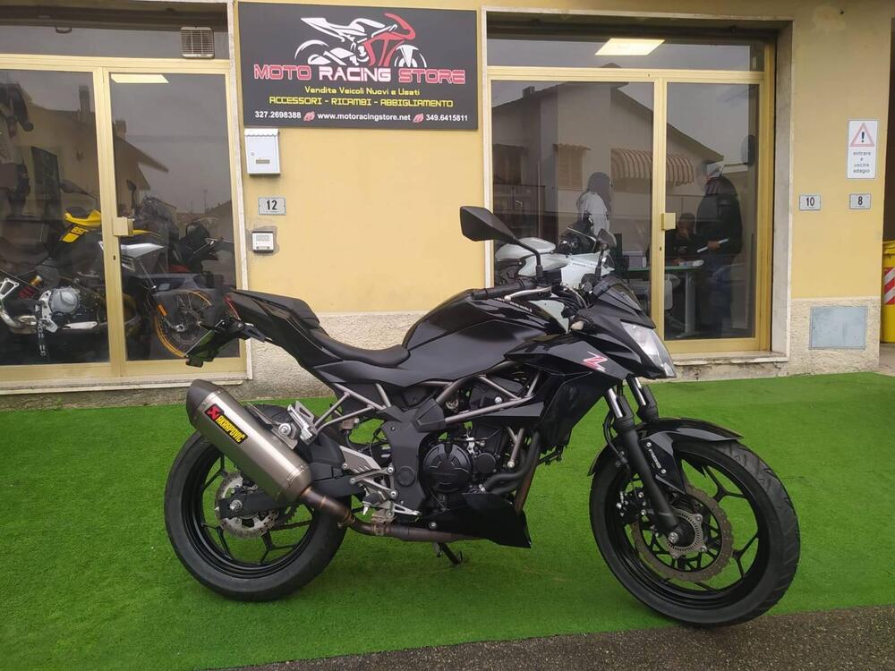 Kawasaki Z 250 SL ABS (2015 - 16) (3)