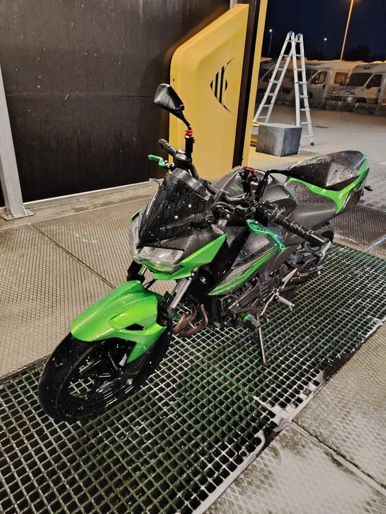 Kawasaki Z 400 (2019 - 20) (4)