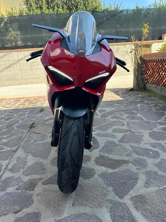 Vendo Ducati Panigale V2 (2021 - 24) usata a Bientina (codice 9604313 ...