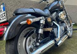 Harley-Davidson 883 Custom (2006 - 07) - XL 883C usata