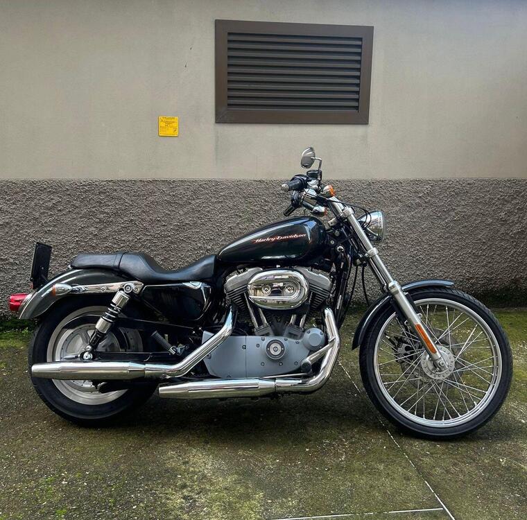 Harley-Davidson 883 Custom (2006 - 07) - XL 883C (3)