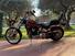 Harley-Davidson FXSTC 1340 (10)