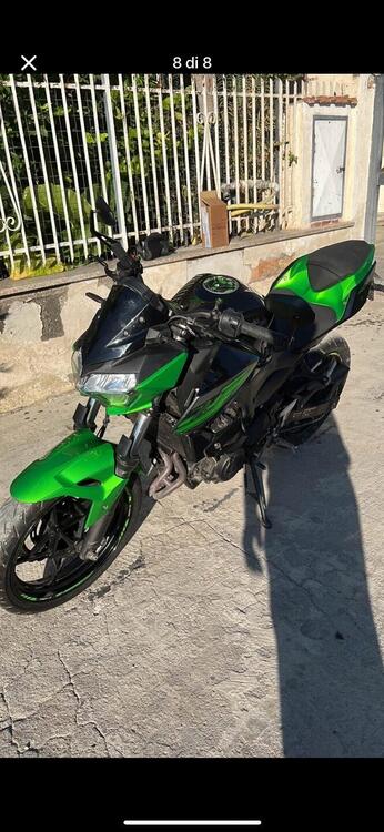 Kawasaki Z 400 (2019 - 20) (2)