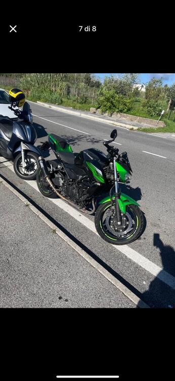 Kawasaki Z 400 (2019 - 20) (3)