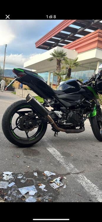 Kawasaki Z 400 (2019 - 20) (4)