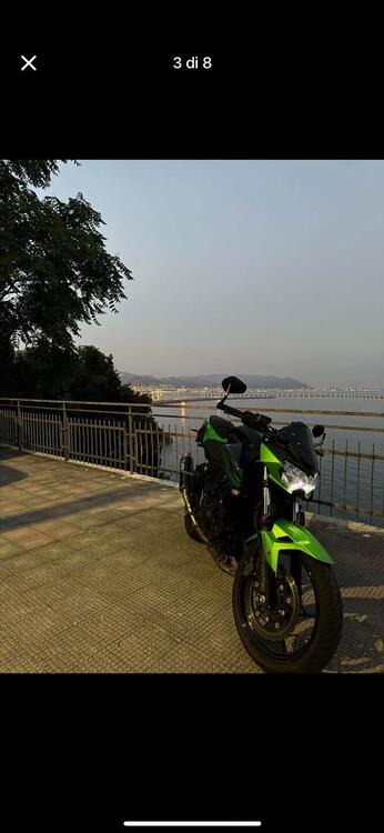 Kawasaki Z 400 (2019 - 20) (5)