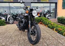 Triumph Bonneville T100 (2008 - 16) usata