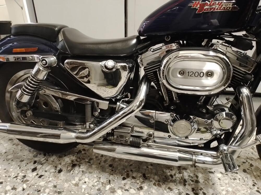 Harley-Davidson 1200 Custom (2001 - 03) - XL 1200C (2)