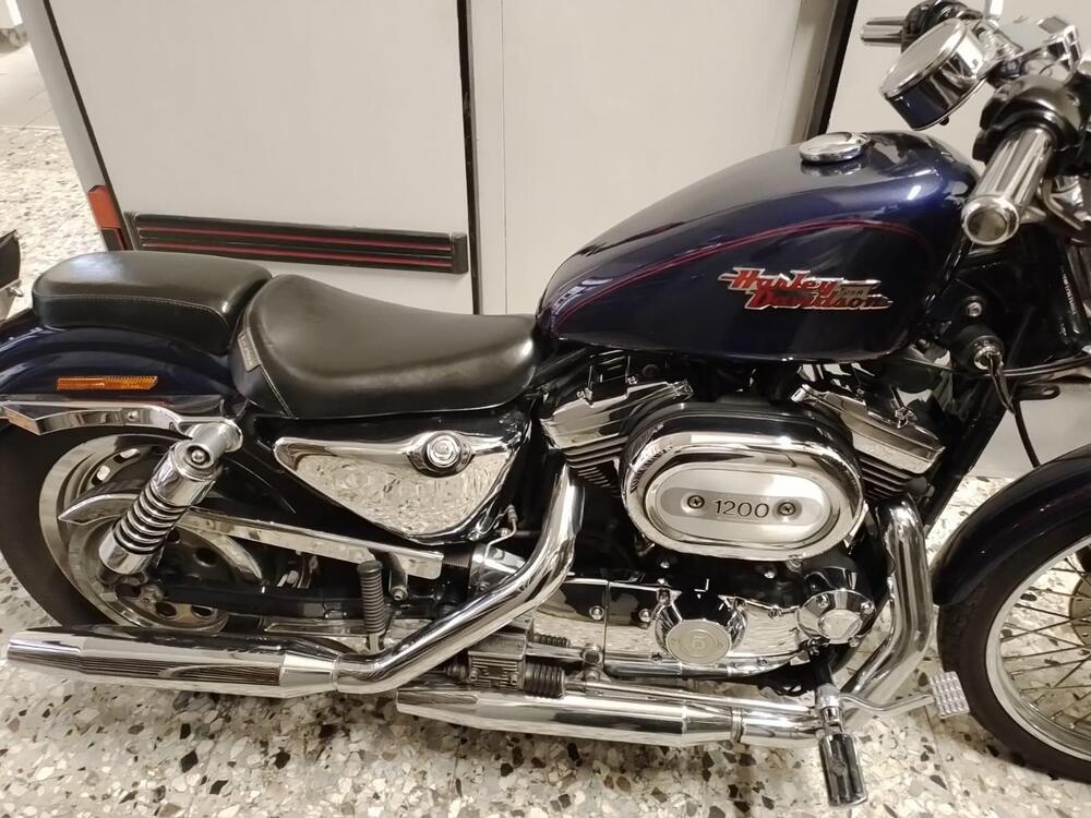 Harley-Davidson 1200 Custom (2001 - 03) - XL 1200C (3)