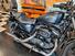 Harley-Davidson 883 Iron (2014 - 16) - XL 883N (9)