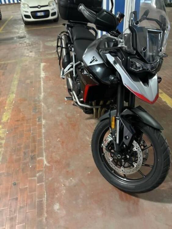 Triumph Tiger 900 GT Pro (2024 - 25)