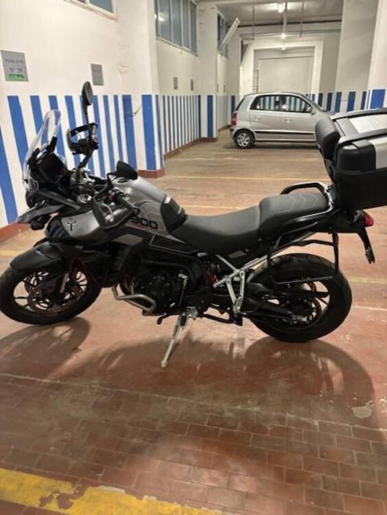 Triumph Tiger 900 GT Pro (2024 - 25) (3)